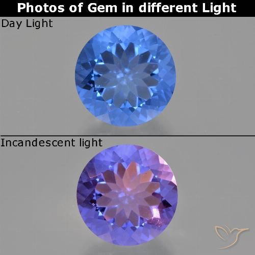 13.91ct Natürlicher Navy blau Farbwechselnder Fluorit, Runden, VS