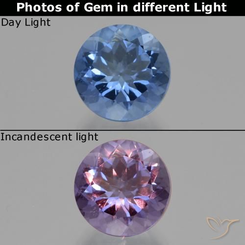 11.08ct Natürlicher Intensives Marineblau Farbwechselnder Fluorit, Runden, VS