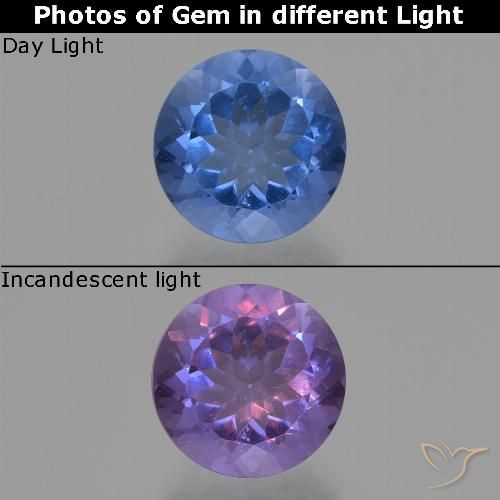 11.33ct Natürlicher dunkelblau Farbwechselnder Fluorit, Runden, VS