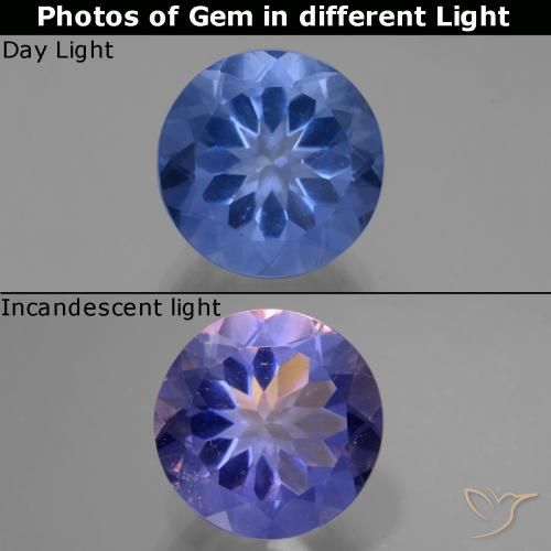 11.27ct Natürlicher Navy blau Farbwechselnder Fluorit, Runden, VS