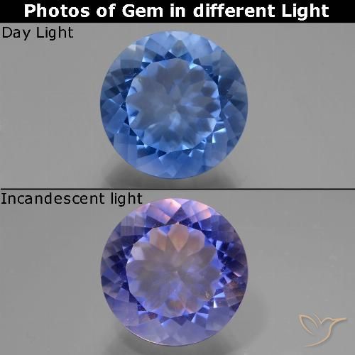 10.95ct Natürlicher Navy blau Farbwechselnder Fluorit, Runden, VS