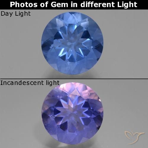 11.61ct Natürlicher dunkelblau Farbwechselnder Fluorit, Runden, VVS-VS