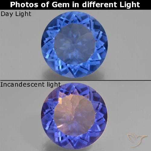 12.27ct Natürlicher dunkelblau Farbwechselnder Fluorit, Runden, VS