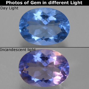 9,17 ctw natürlicher dunkelblau Farbwechselnder Fluorit, Oval Schliff, VVS-VS