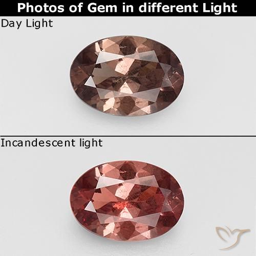 0.74ct Natürlicher Hickory Braun Farbwechselnder Granat, Oval, VS