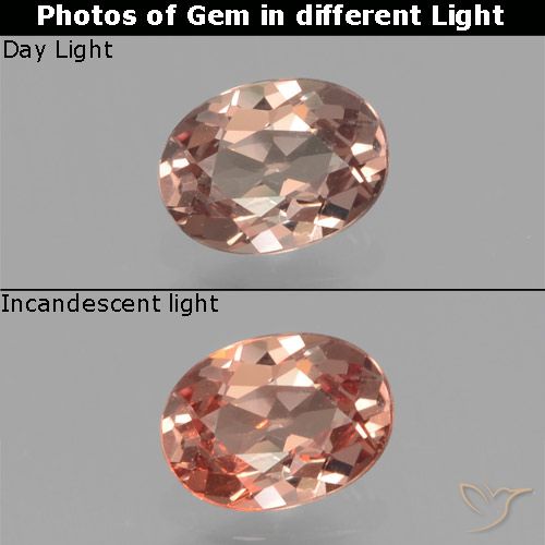 9,17 ctw natürlicher Hickory Braun Farbwechselnder Granat, Oval Schliff, VS