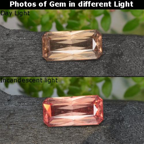 9,17 ctw natürlicher Hickory Braun Farbwechselnder Granat, Smaragdschliff, VS-SI