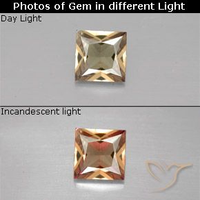 0.51ct Natürlicher gold-braun Farbwechselnder Granat, Quadrat, VVS-VS