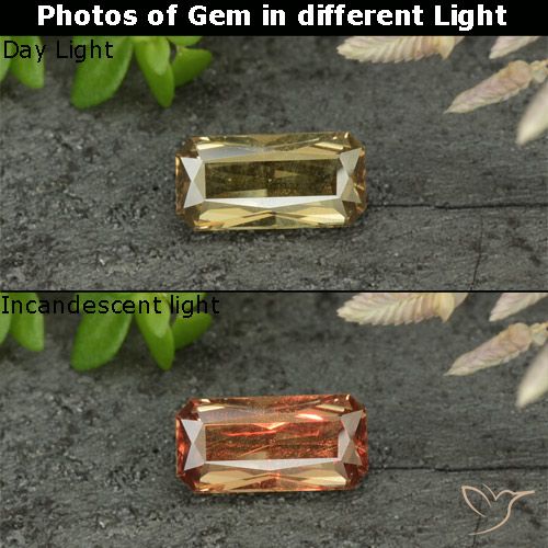 0.76ct Natürlicher Golden Farbwechselnder Granat, Smaragdschliff, VVS-VS