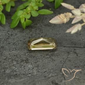 9,17 ctw natürlicher Golden Farbwechselnder Granat, Oktagonschliff, VVS-VS