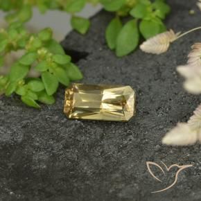 9,17 ctw natürlicher gold-gelb Farbwechselnder Granat, Oktagonschliff, VS