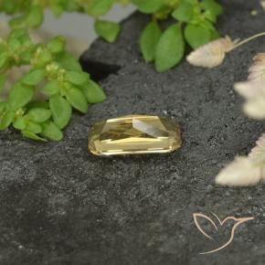 9,17 ctw natürlicher gold-gelb Farbwechselnder Granat, Oktagonschliff, VS