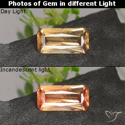 0.63ct Natürlicher gold-braun Farbwechselnder Granat, Smaragdschliff, VS