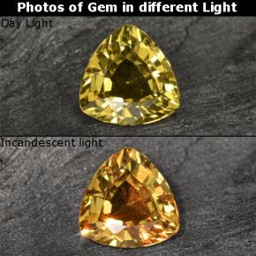 0,64 ctw natürlicher goldener Farbwechsel-Granat, Trillion, VS