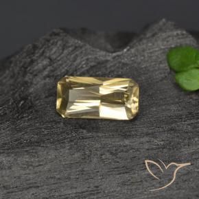 9,17 ctw natürlicher Golden Farbwechselnder Granat, Oktagonschliff, VVS