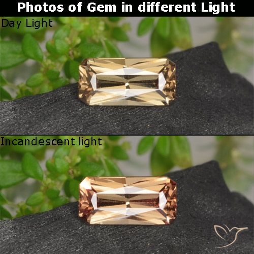 0.62ct Natürlicher gold-braun Farbwechselnder Granat, Smaragdschliff, VVS-VS