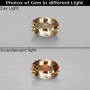 0,69 ctw natürlicher goldener Farbwechsel-Granat, Oval Schliff, VVS-VS