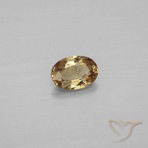 9,17 ctw natürlicher gold-braun Farbwechselnder Granat, Oval, VVS