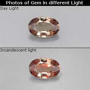 9,17 ctw natürlicher Mittel braun Farbwechselnder Granat, Oval Schliff, VS