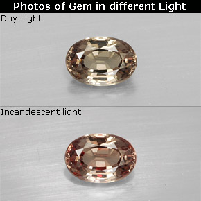 9,17 ctw natürlicher hellbraun Farbwechselnder Granat, Oval Schliff, VVS-VS