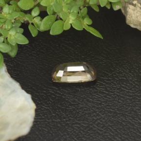 9,17 ctw natürlicher Golden Farbwechselnder Granat, Kissenschliff, VS-SI