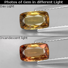 1,11 ctw natürlicher goldener Farbwechsel-Granat, Kissenschliff, VVS-VS