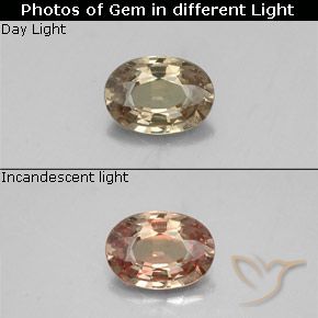 0.52ct Natürlicher gold-braun Farbwechselnder Granat, Oval, VS-SI