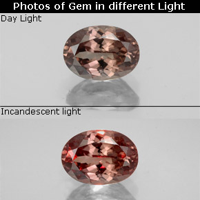 9,17 ctw natürlicher Gold-braun bis orange Farbwechselnder Granat, Oval Schliff, VS