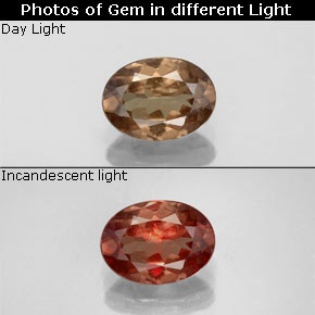 1,00 ctw natürlicher color-change Farbwechsel-Granat, Oval Schliff, VS-SI
