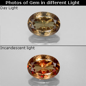 9,17 ctw natürlicher Gold-braun bis orange Farbwechselnder Granat, Oval Schliff, VS