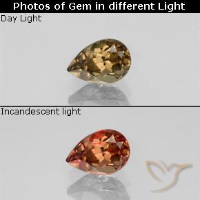 0.61ct Natürlicher gold-braun Farbwechselnder Granat, Birnenform, VVS-VS