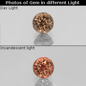 9,17 ctw natürlicher Gold-braun bis orange Farbwechselnder Granat, Rund Schliff, VVS-VS