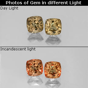  ct natürliche Gold-braun bis orange Farbwechselnder Granat-Edelsteine, Kissenschliff, VVS-VS