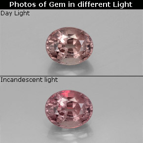 1,16 ctw natürlicher color-change Farbwechsel-Granat, Oval Schliff, VS