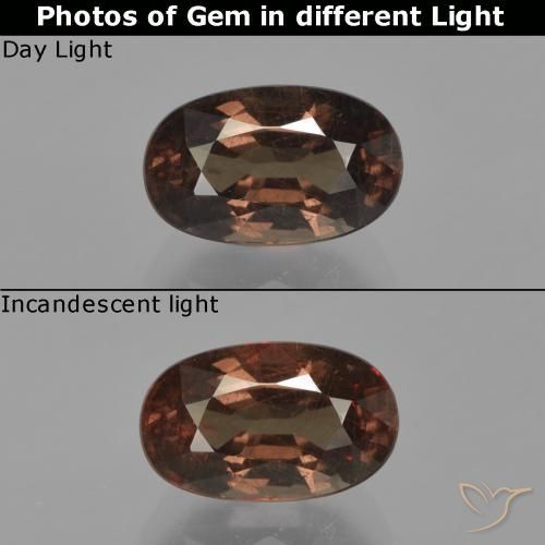 2.64ct Natürlicher Mittel braun Farbwechselnder Granat, Oval, VS