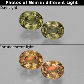1,41 ct natürliche mehrfarbiger Farbwechsel-Granat-Edelsteine, Oval Schliff, VS