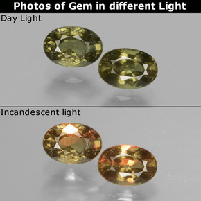 1.37 ct natürliche gold-gelb Farbwechselnder Granat-Edelsteine, Oval Schliff, VS