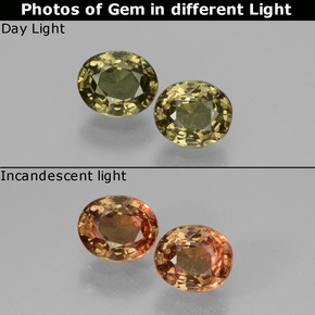 1,06 ct natürliche mehrfarbiger Farbwechsel-Granat-Edelsteine, Oval Schliff, VS