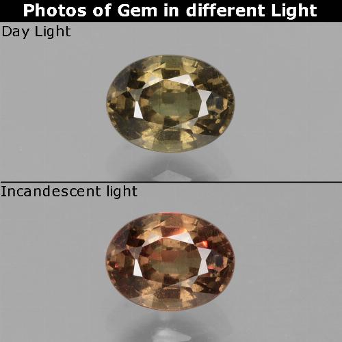 0,74 ctw natürlicher brauner Farbwechsel-Granat, Oval Schliff, VS