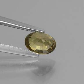 0,75 ctw natürlicher mehrfarbiger Farbwechsel-Granat, Oval Schliff, VS