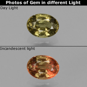 9,17 ctw natürlicher grünlich-gold-braun Farbwechselnder Granat, Oval Schliff, VS