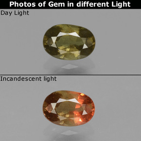 0,62 ctw natürlicher color-change Farbwechsel-Granat, Oval Schliff, VS