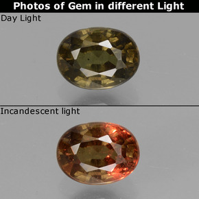 1,13 ctw natürlicher color-change Farbwechsel-Granat, Oval Schliff, VS-SI