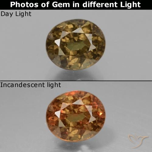 1.55ct Natürlicher dunkelbraun Farbwechselnder Granat, Oval, VS-SI