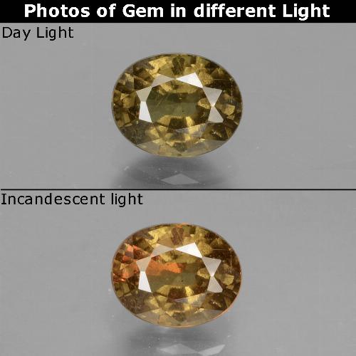 9,17 ctw natürlicher Mittel-Dunkelbraun Farbwechselnder Granat, Oval Schliff, VS-SI