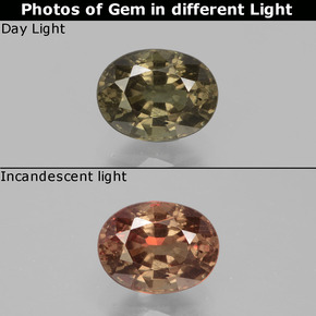 9,17 ctw natürlicher dunkelbraun Farbwechselnder Granat, Oval Schliff, VS