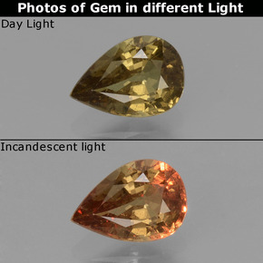 9,17 ctw natürlicher Grünlich-braun bis rot-rosa Farbwechselnder Granat, Birnenform, VS