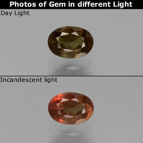 9,17 ctw natürlicher grün bis rot-rosa Farbwechselnder Granat, Oval Schliff, VS