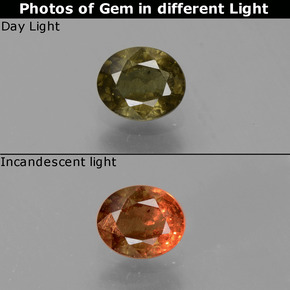 9,17 ctw natürlicher grün bis rot-rosa Farbwechselnder Granat, Oval Schliff, VS