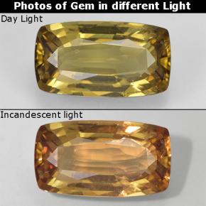 1,37 ctw natürlicher goldener Farbwechsel-Granat, Kissenschliff, VVS-VS